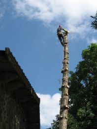 abattage, démontage